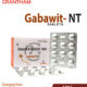 GABAWIT NT