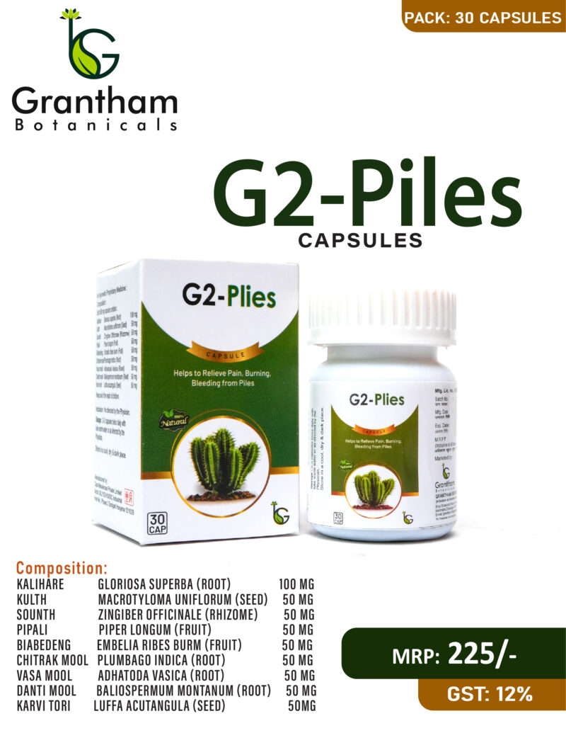 G2 PILES