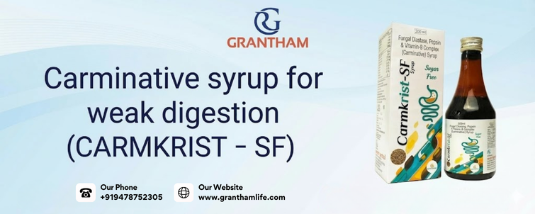 carminative syrup for weak digestion (carmkrist sf)