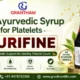 Best Ayurvedic Syrup for Platelets