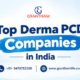 Top Derma PCD Companies in India Top Derma PCD Companies in India