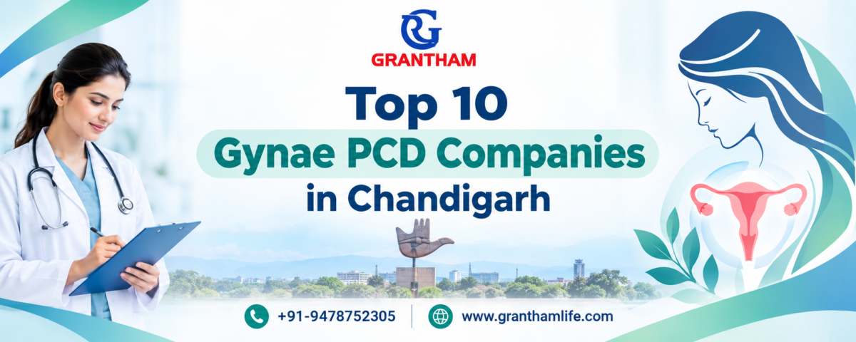 Top 10 Gynae PCD Companies in Chandigarh
