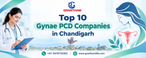Top 10 Gynae PCD Companies in Chandigarh