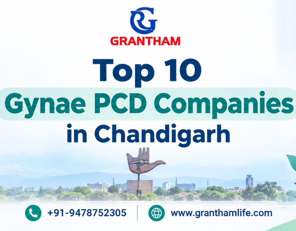 Top 10 Gynae PCD Companies in Chandigarh